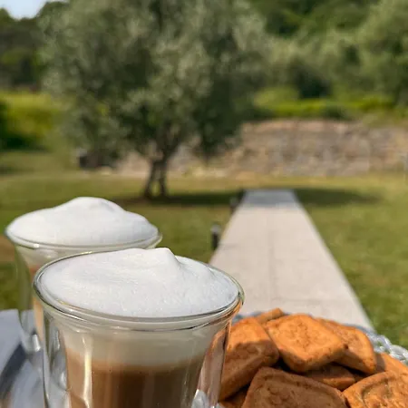 Aurora 아파트 안카란