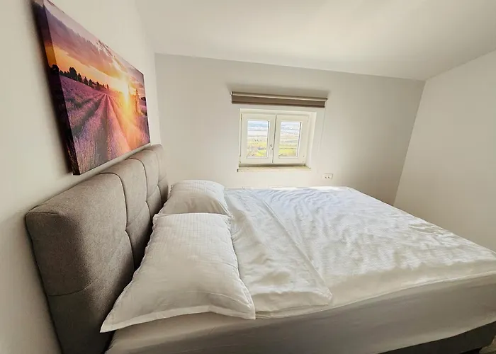 Aurora أنكاران