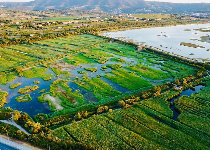 Aurora أنكاران